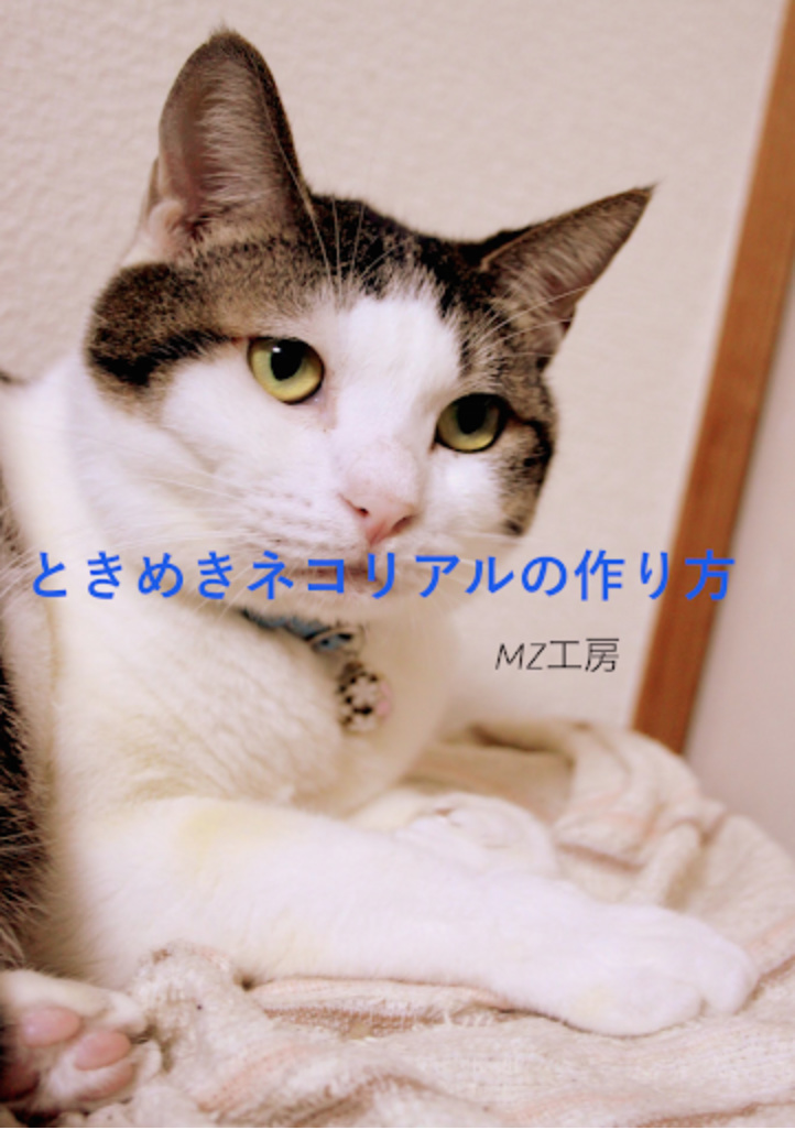 ときめきネコリアルの作り方