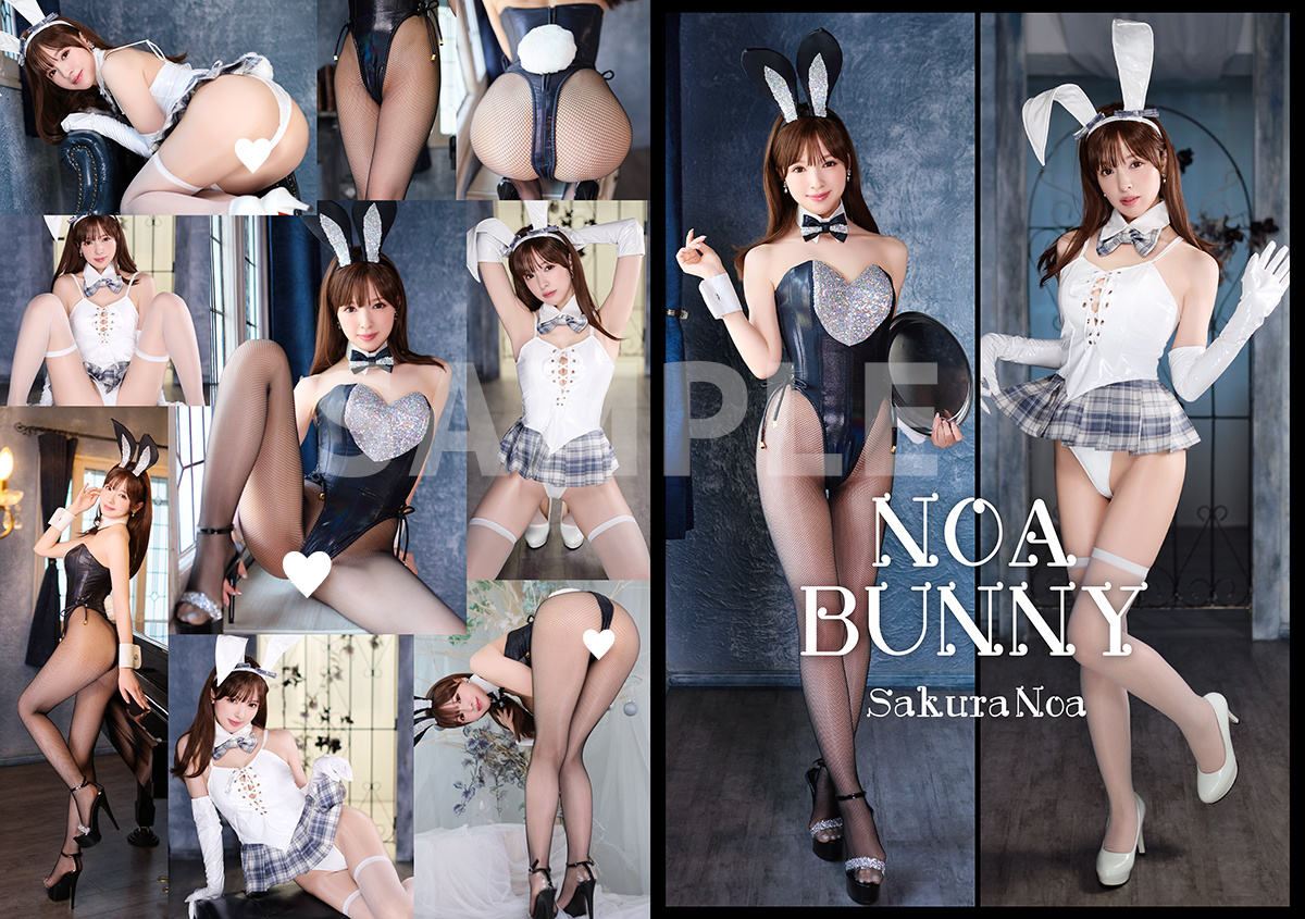【CH41】NOA BUNNY