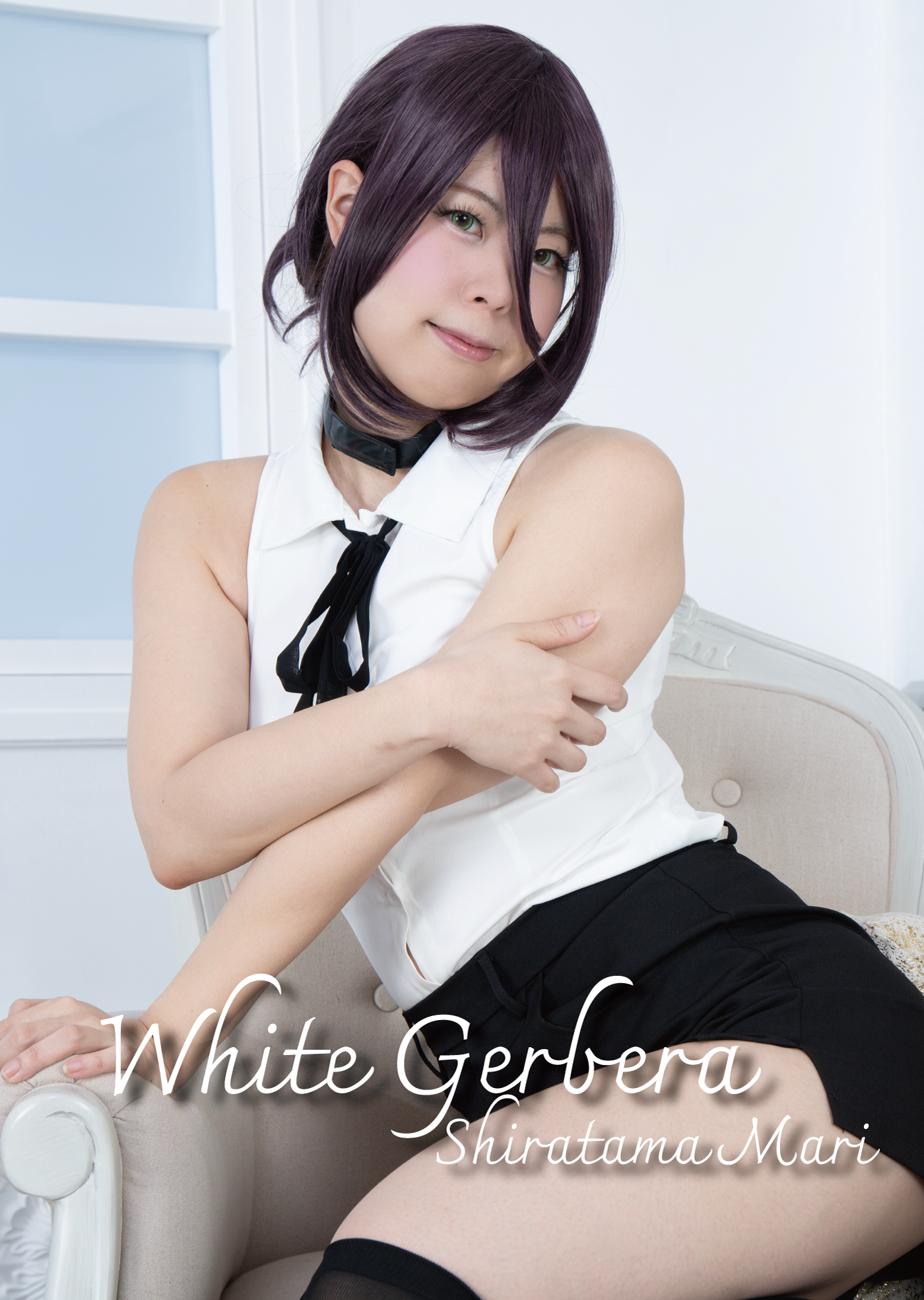White Gerbera