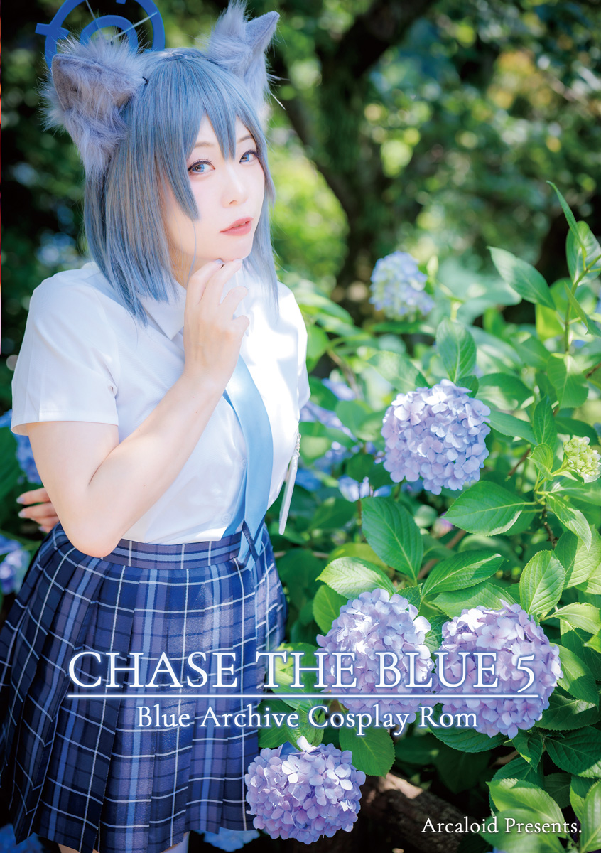CHASE THE BLUE 5